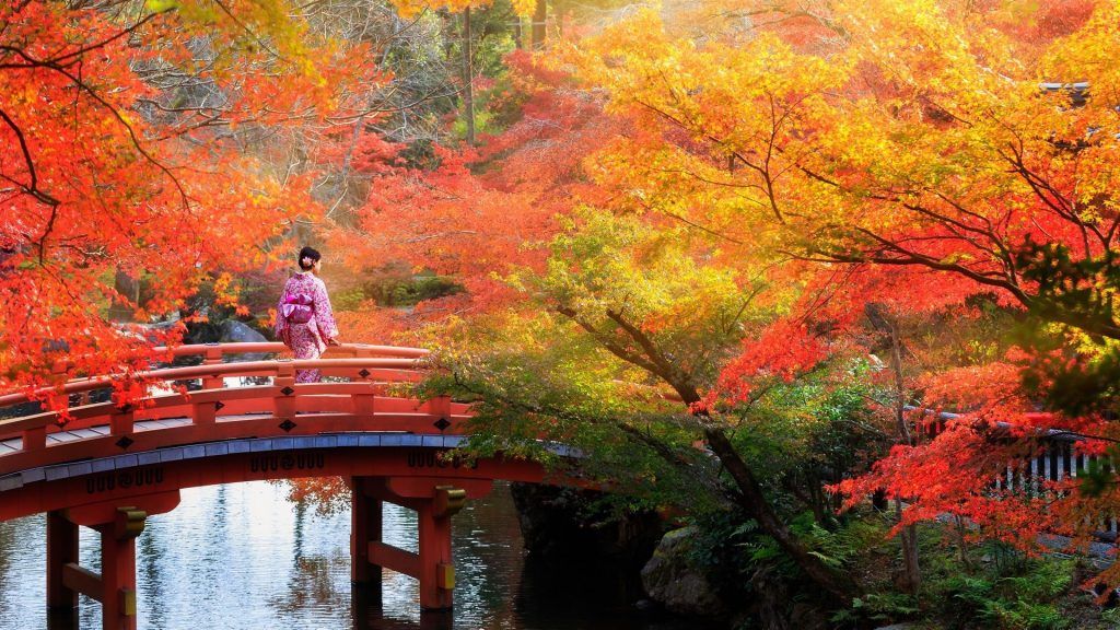 From Kyoto To Kashmir: Explore Asia’s Diverse Fall Foliage Wonders